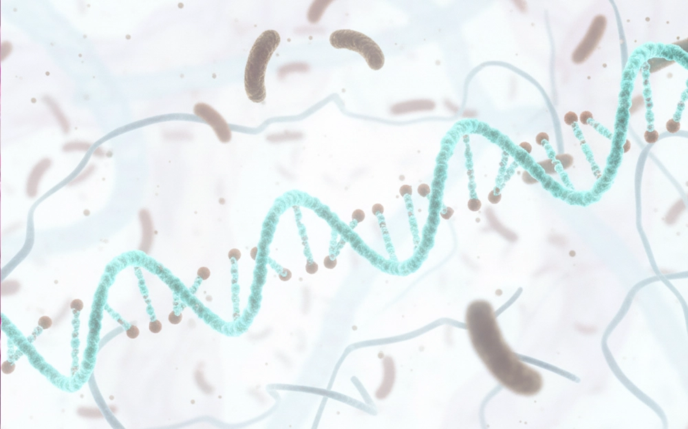 ریبونوکلئیک اسید