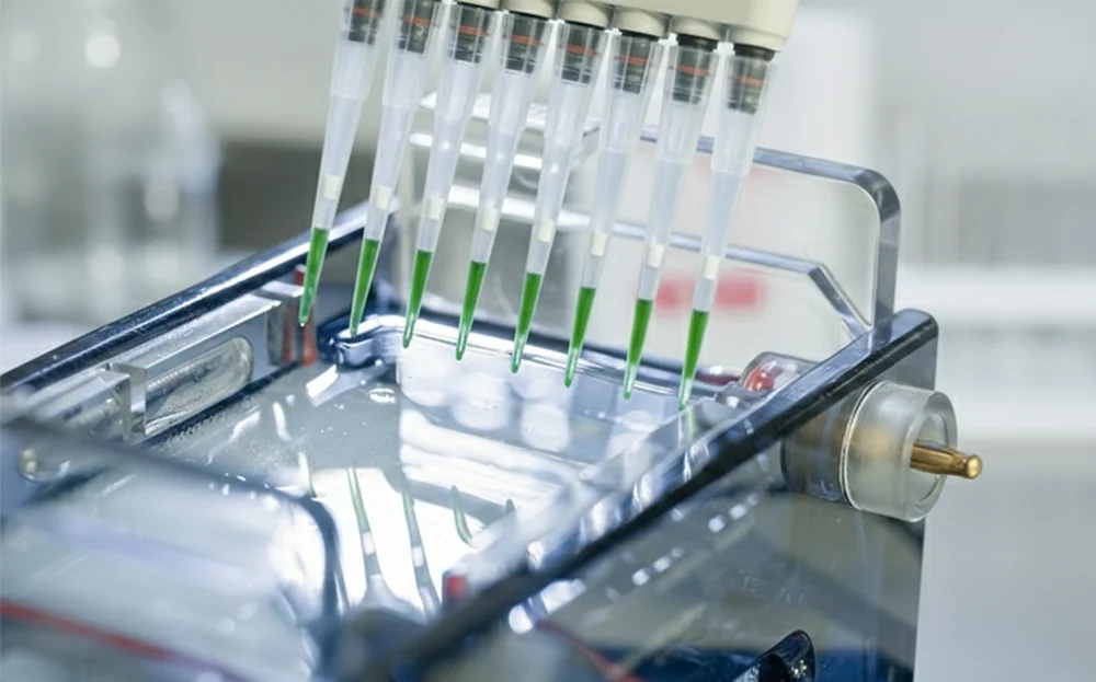 الکتروفورز