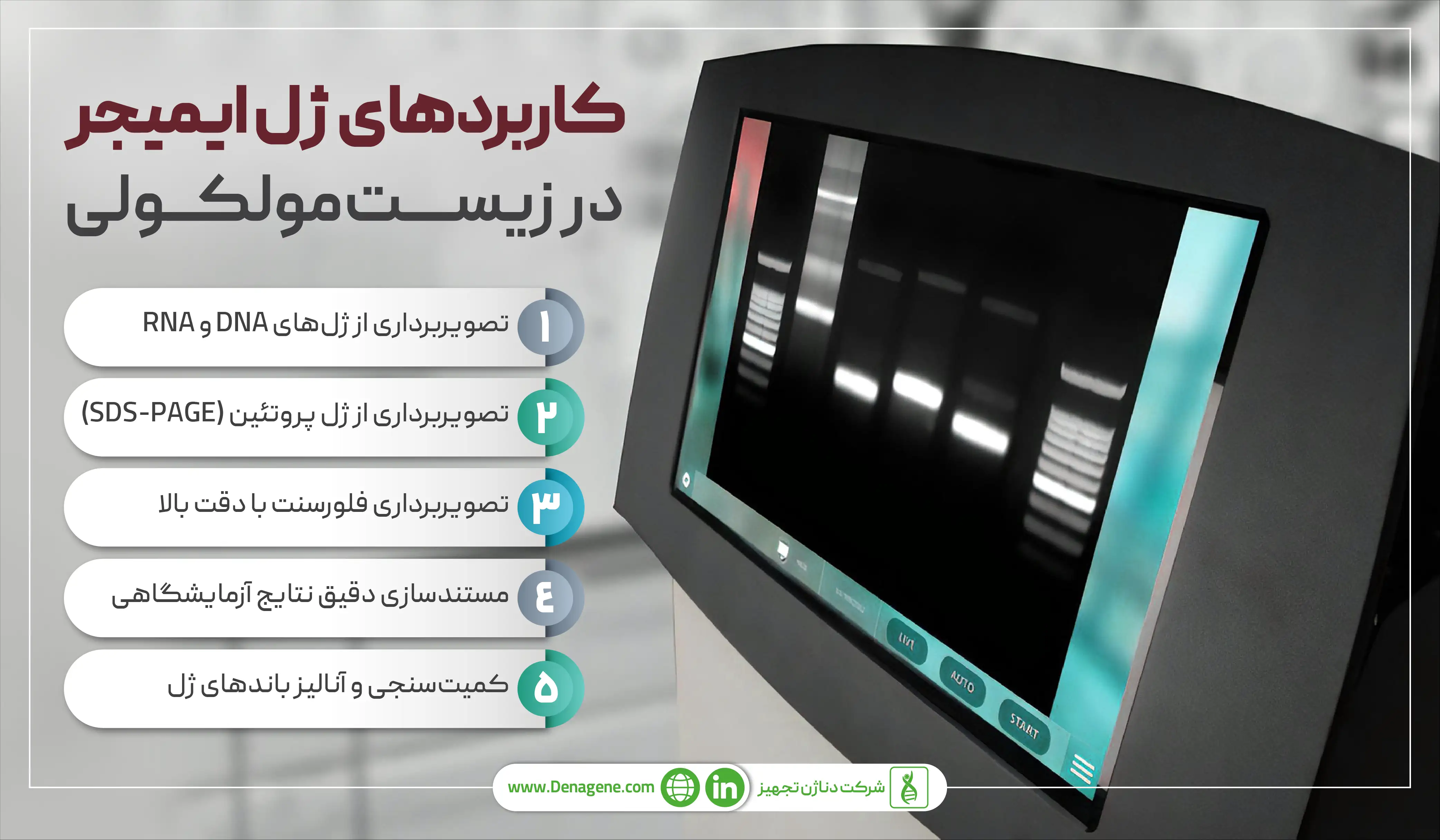 کاربردهای ژل ایمیجر در زیست سلولی مولکولی 