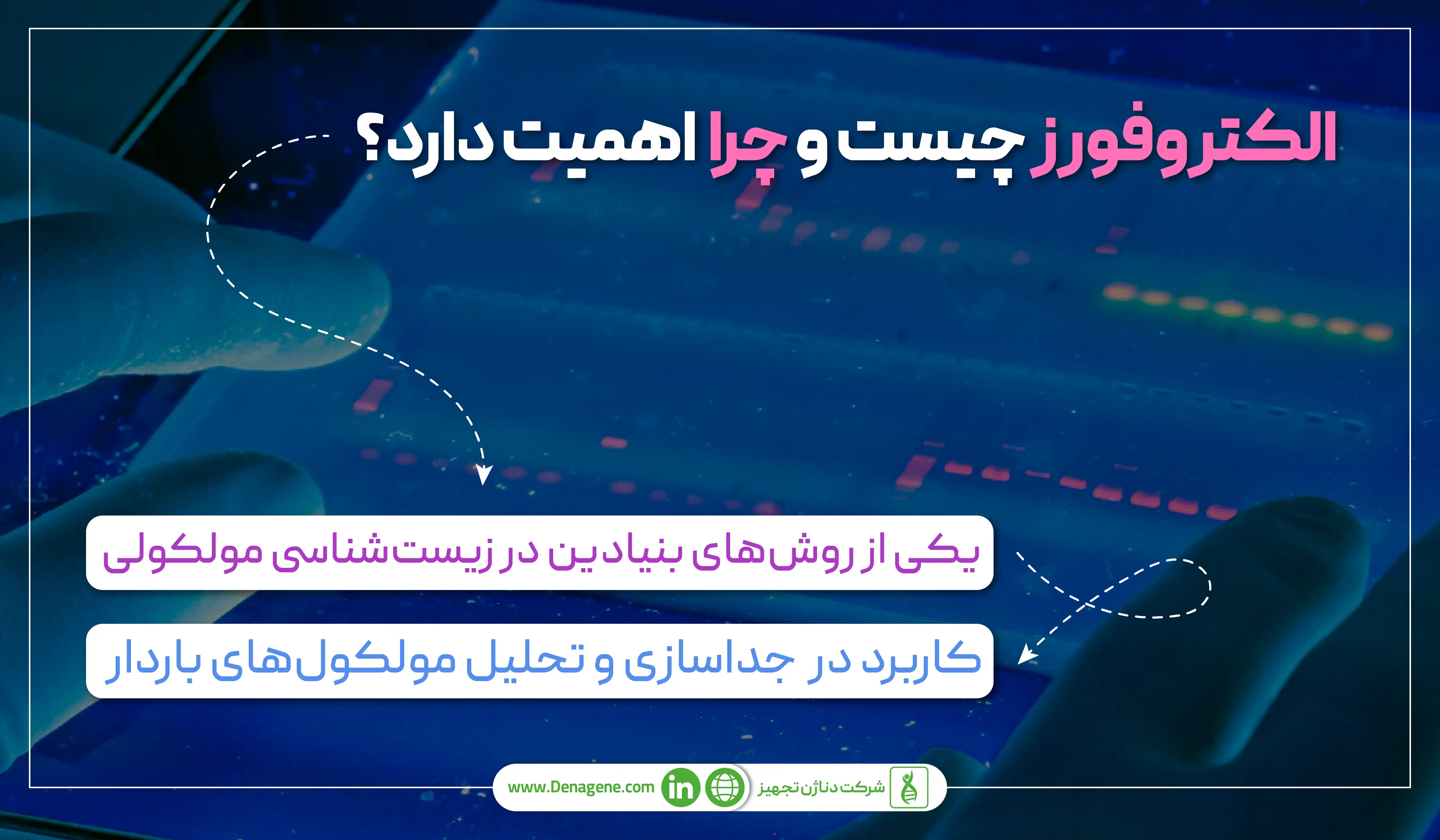 الکتروفورز چیست و چرا اهمیت دارد